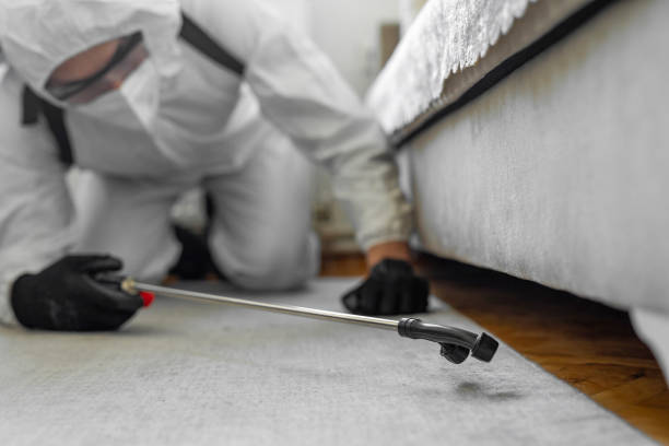 Professional Cockroach Control technician working in The Plains, OH