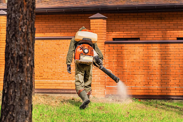 Trusted Cockroach Control service in The Plains, OH - Nex Pest Control